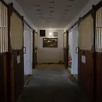 Stekruv Mlyn Guest house Frantiskovy Lazne
