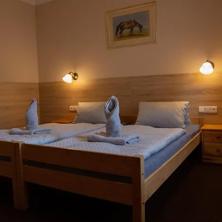 Guest house Stekruv Mlyn 3*