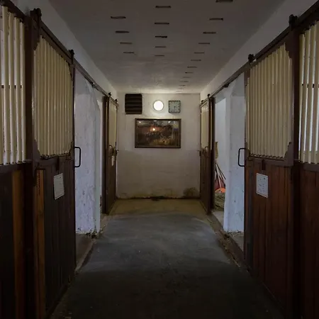 Stekruv Mlyn Guest house Frantiskovy Lazne