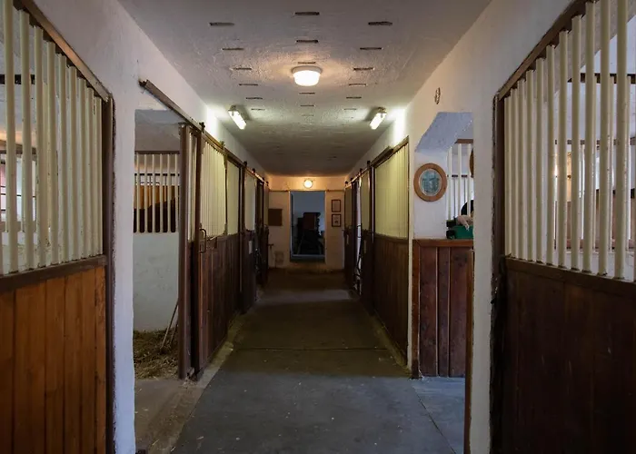 Stekruv Mlyn Guest house Frantiskovy Lazne