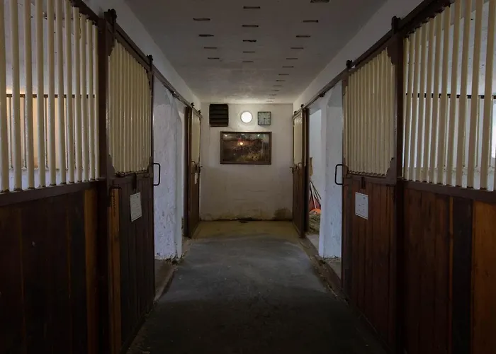 Stekruv Mlyn Guest house Frantiskovy Lazne